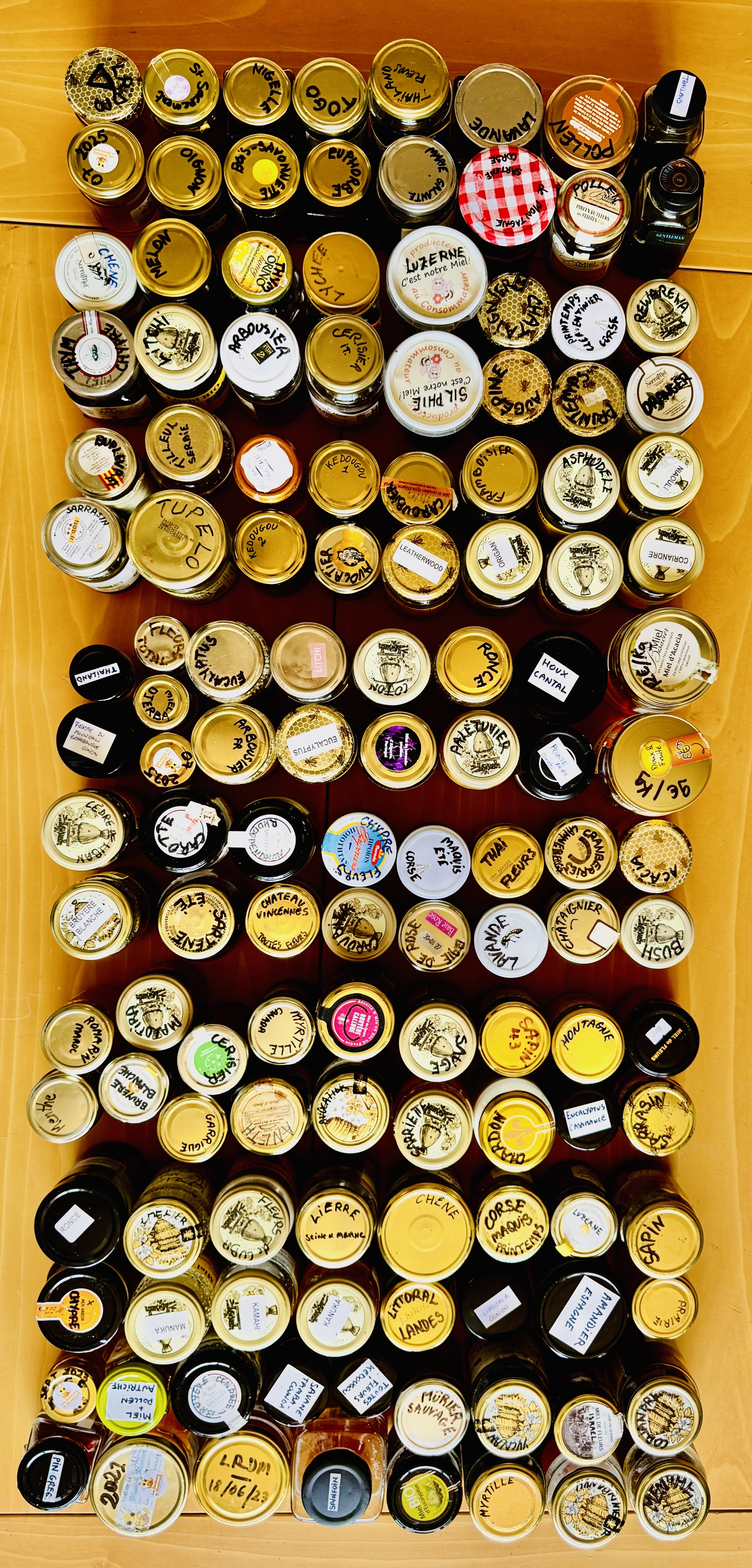 Dégustation de Miels en atelier